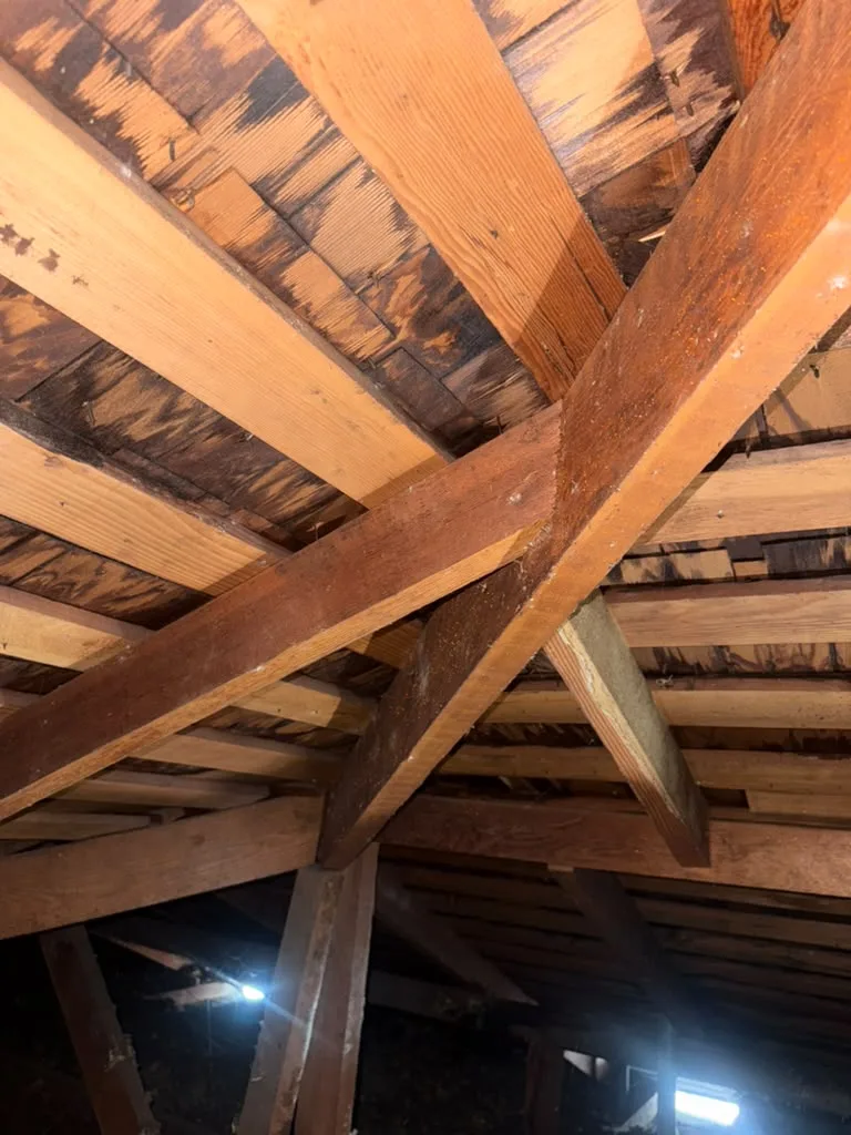 Attic: daylight through the roof deck