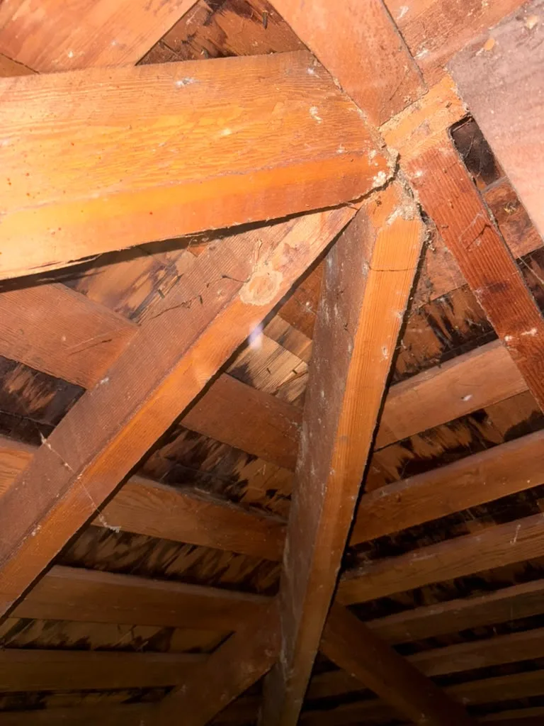 Attic: old spaced-board deck with water staining