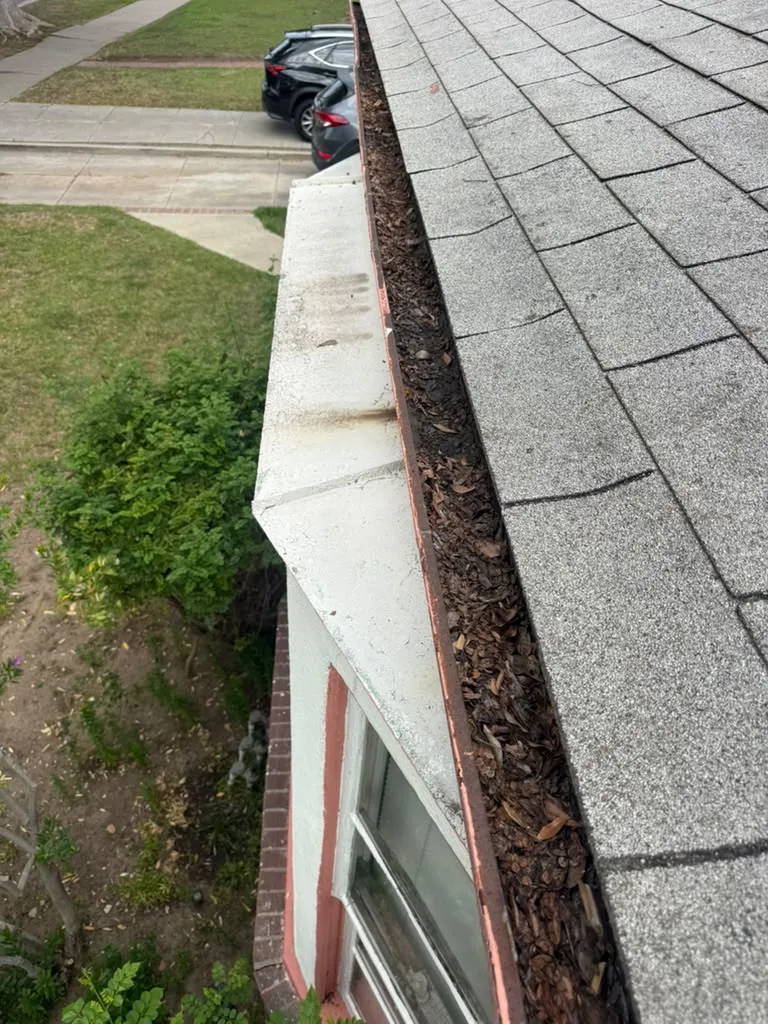 Built-in gutter clogged with leaves